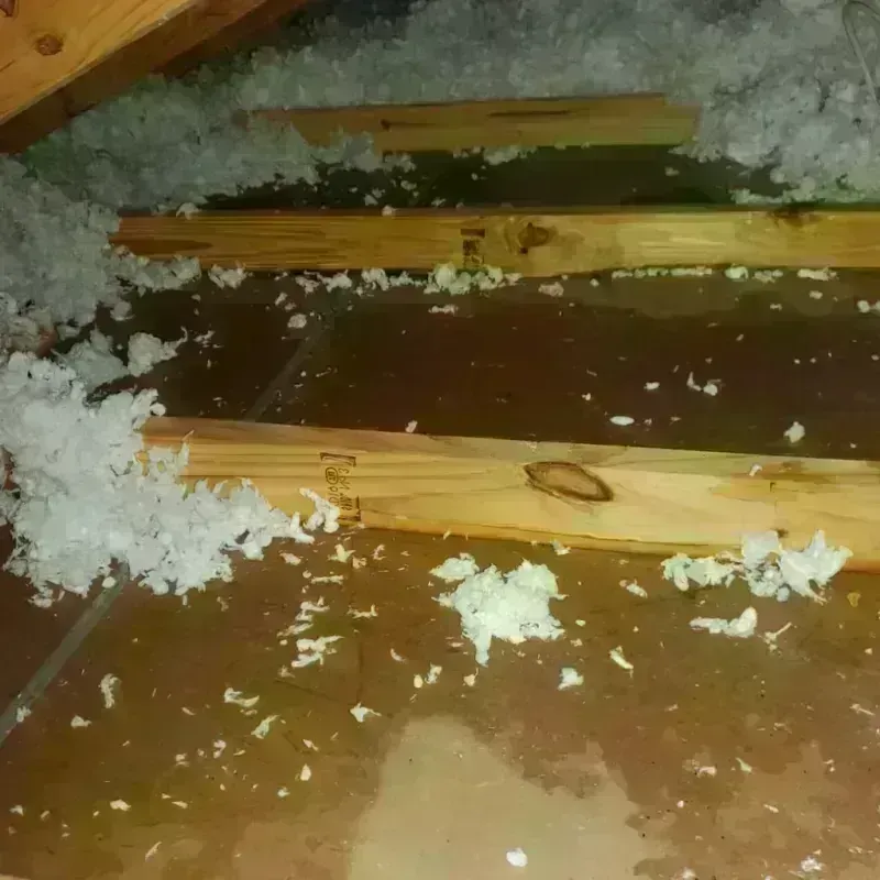 Attic Water Damage in Curtisville, PA